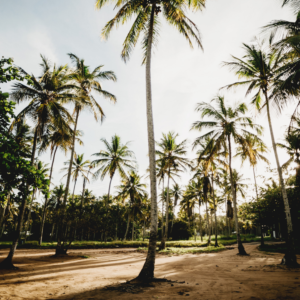 Liberia