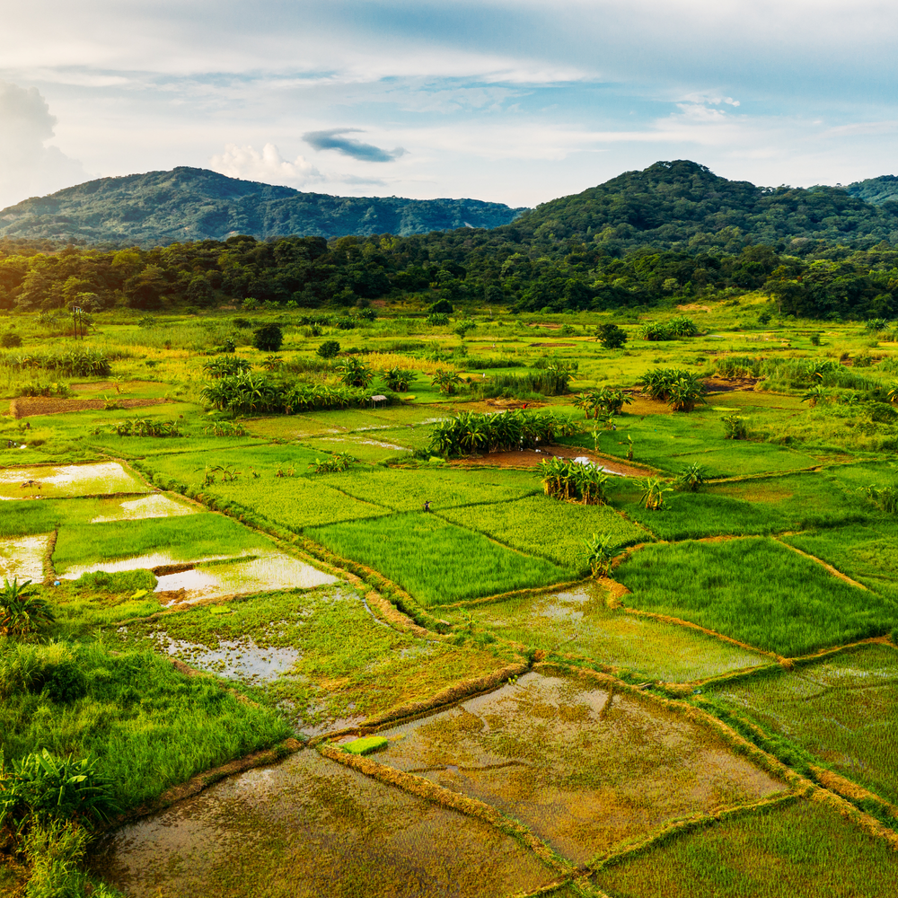 Malawi