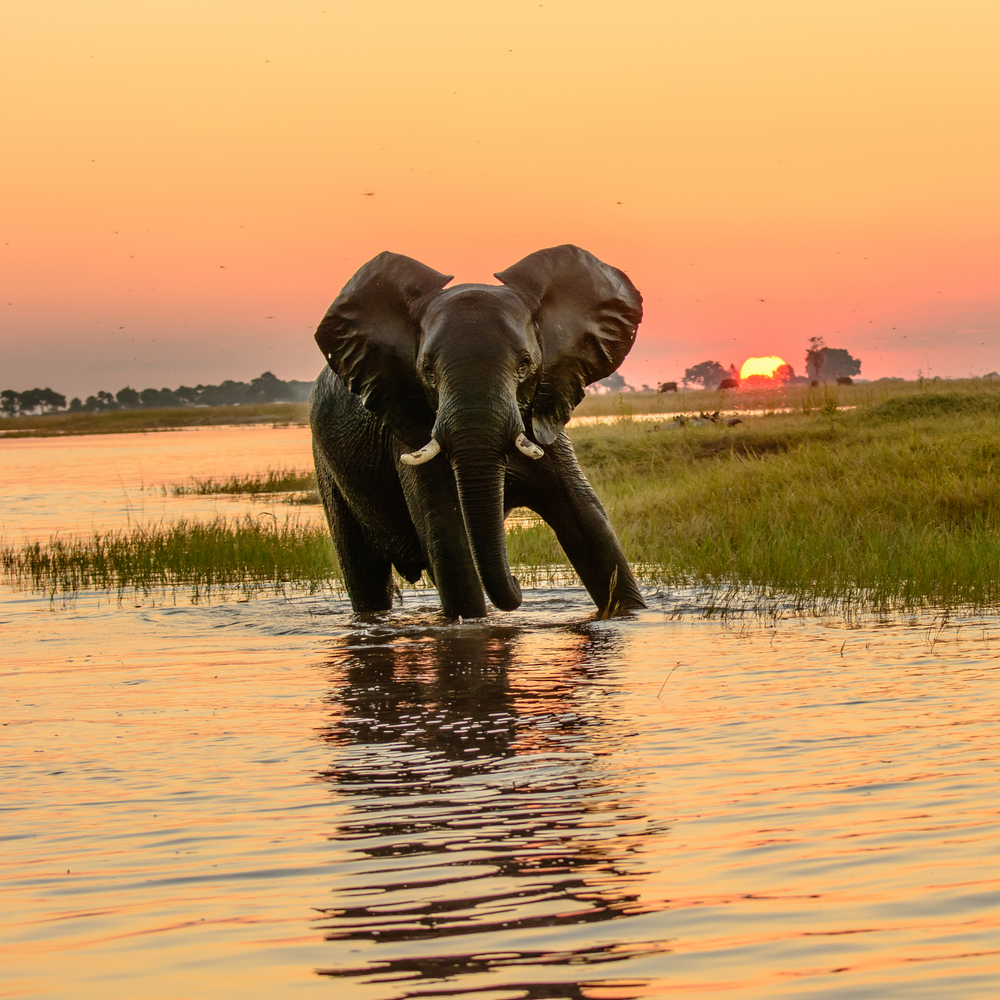 Botswana