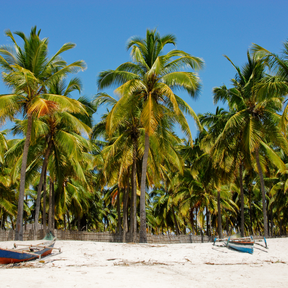Mozambique