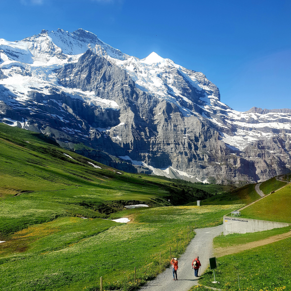 Suisse