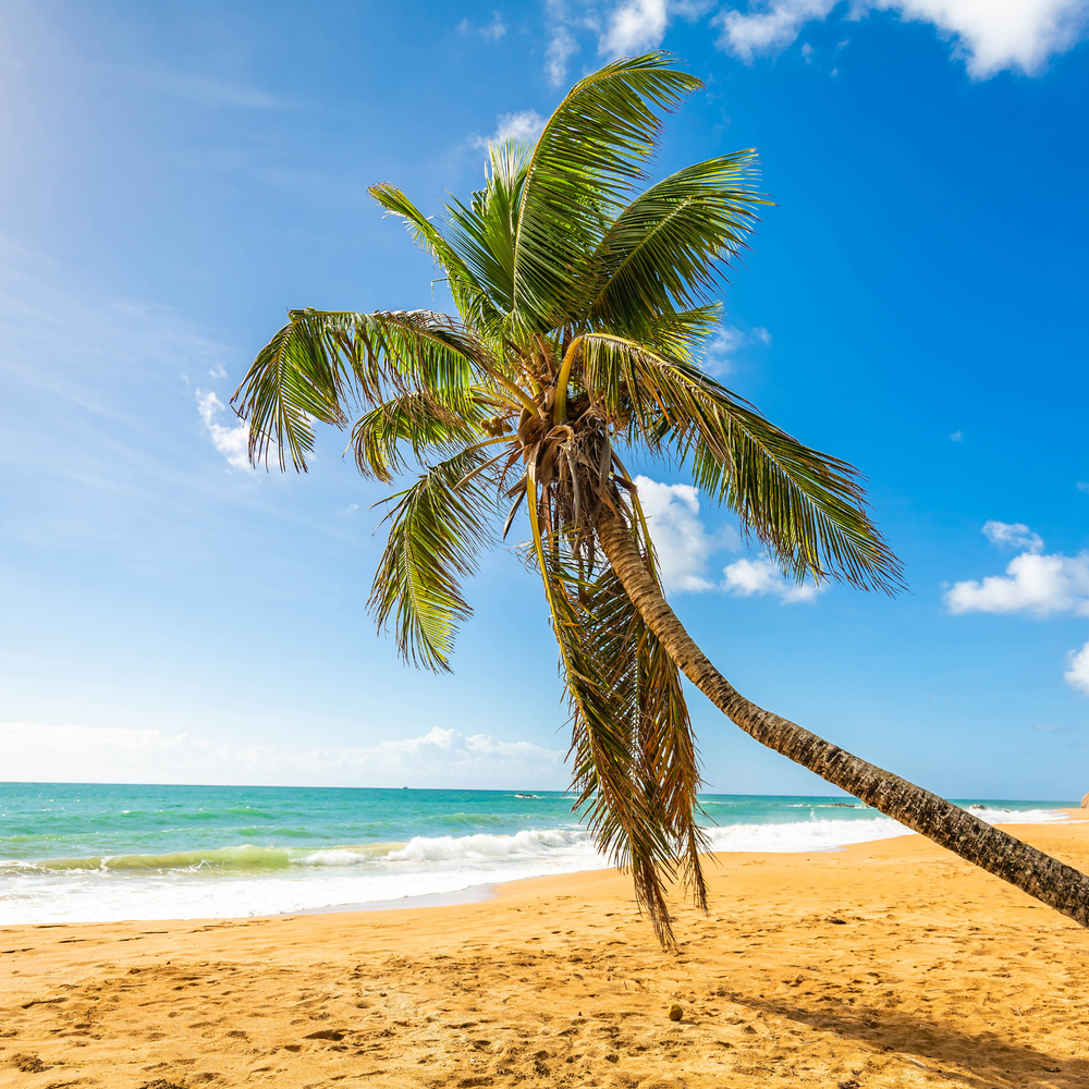 Puerto Rico