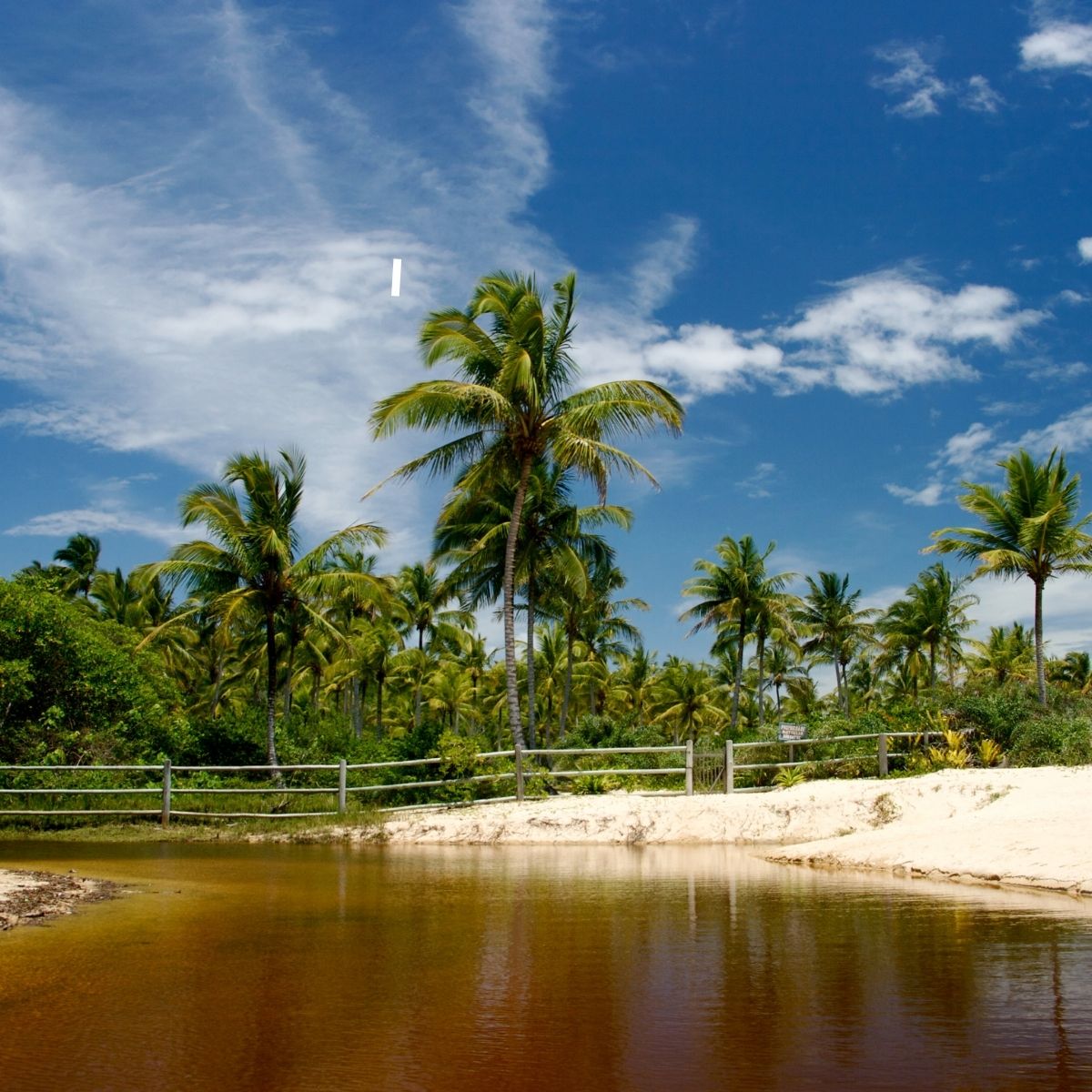 Suriname