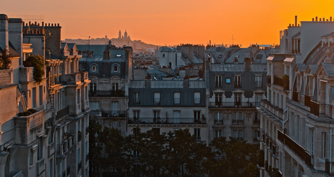 Aerial view of Paris in evening light