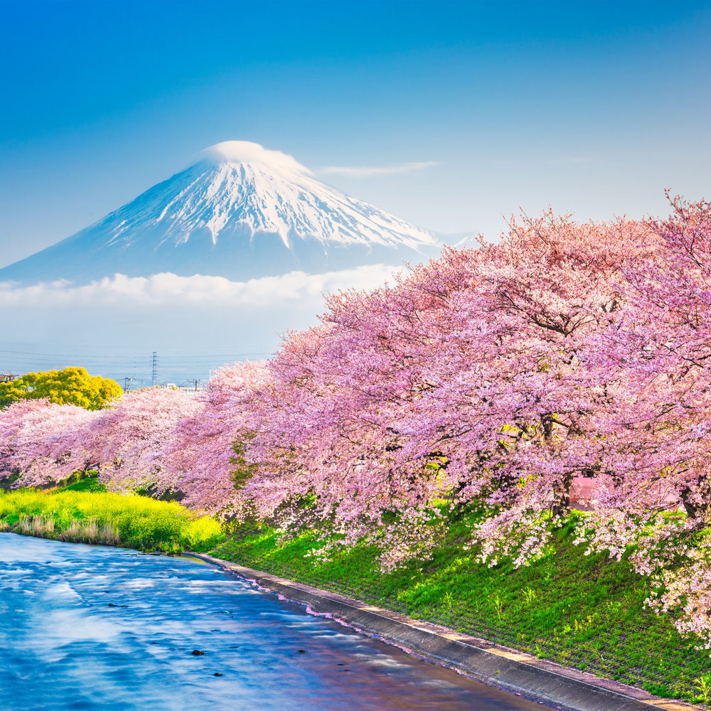 Japon