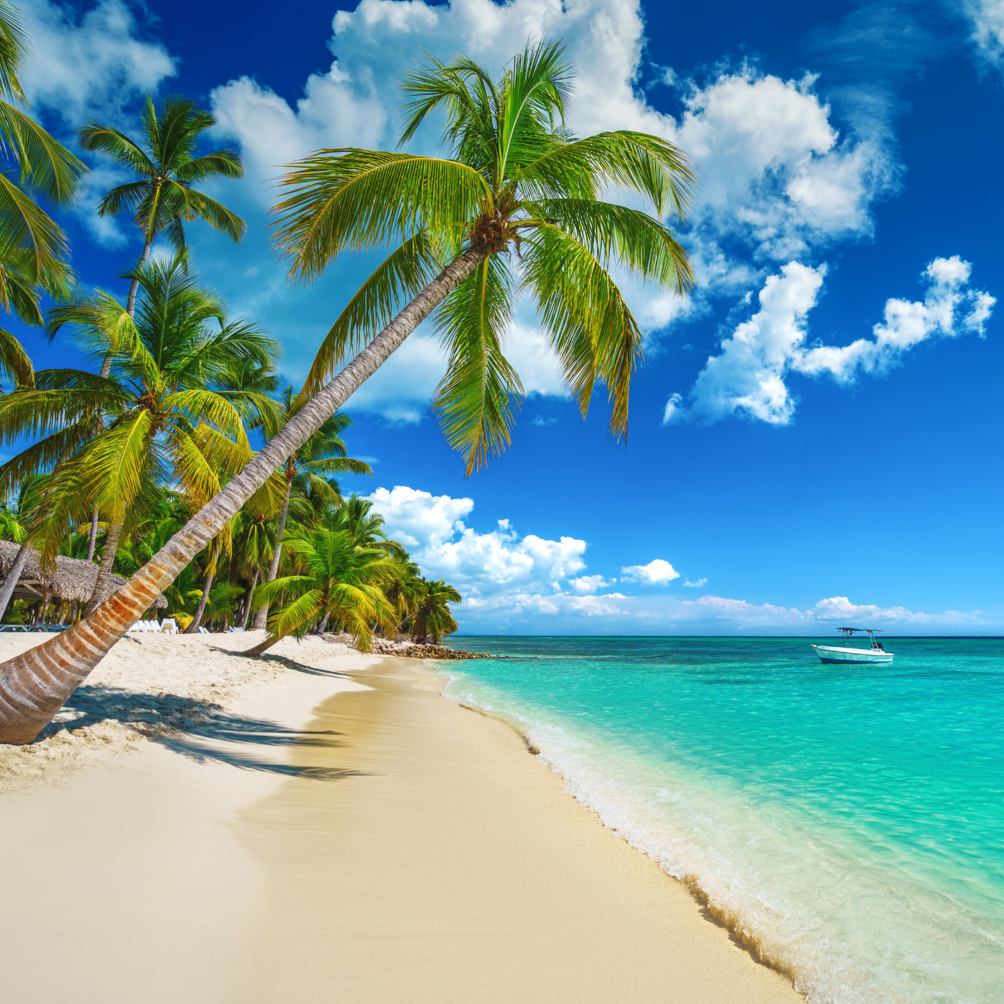 République Dominicaine