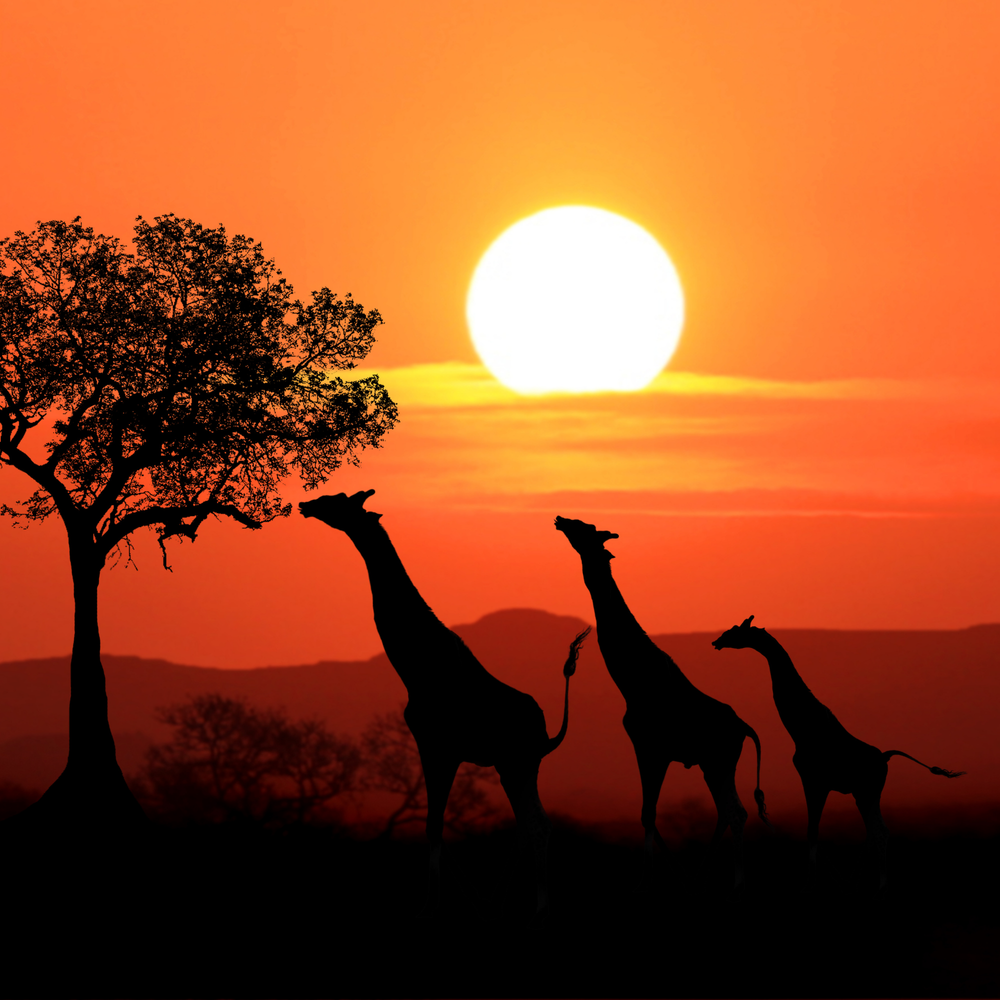 Kenya