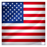Flag United States