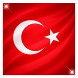 Flag Turkey