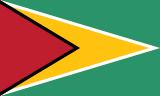Guyana flag – eSIM Guyana