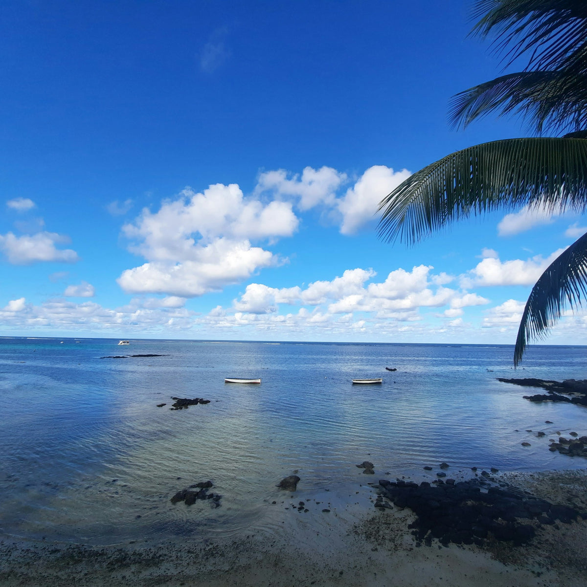 eSIM Tonga